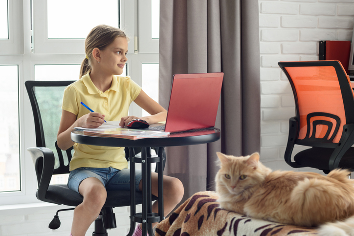 Girl with ADHD doing at-home learning at her own table sitting by her cat in the living room 
