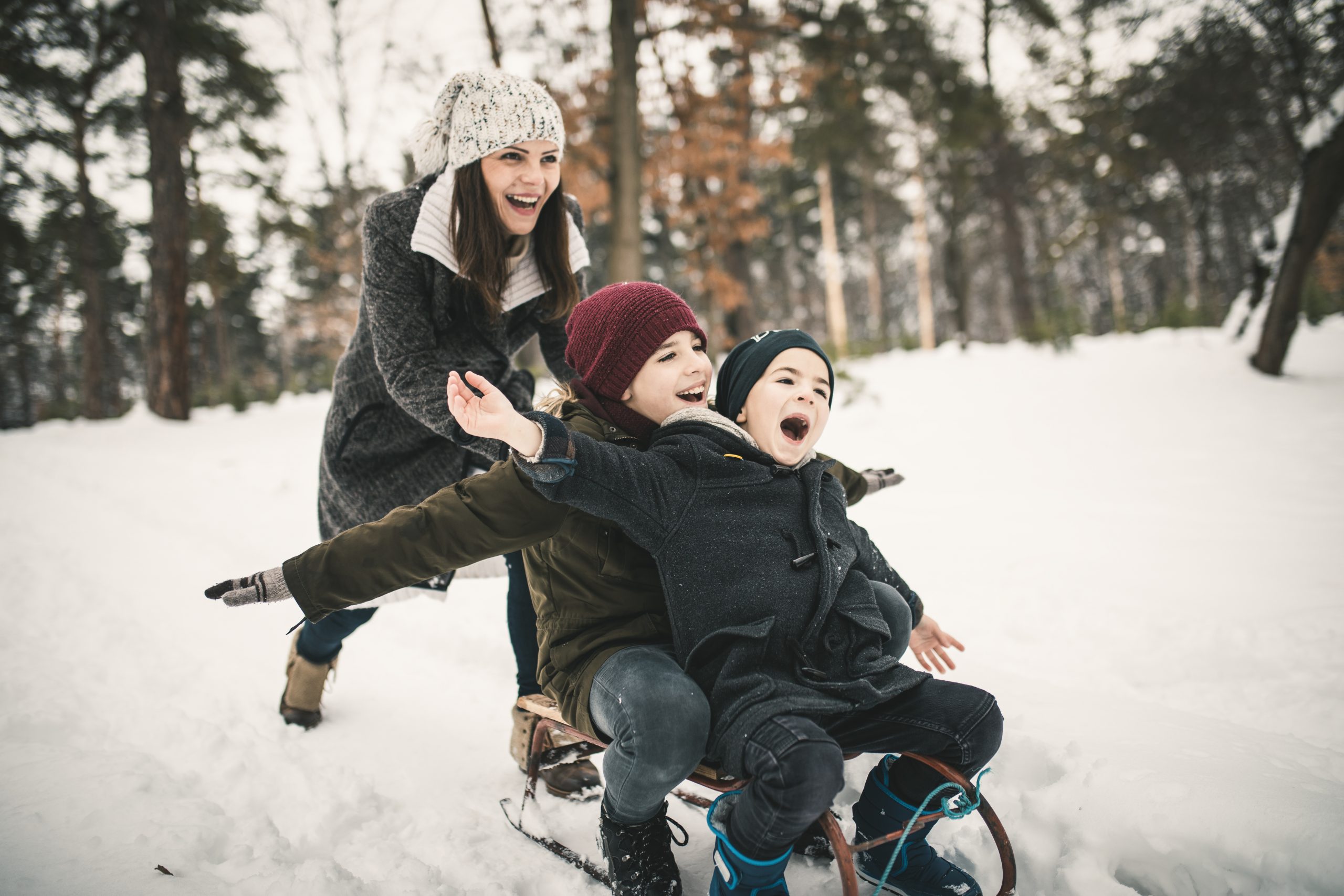 mother pushing boys on sled, giving experiences