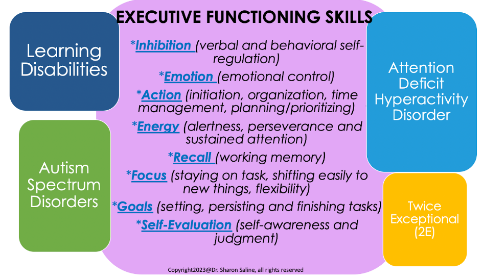 Executive Functioning Skills by Sharon Saline