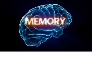 memory brain graphic